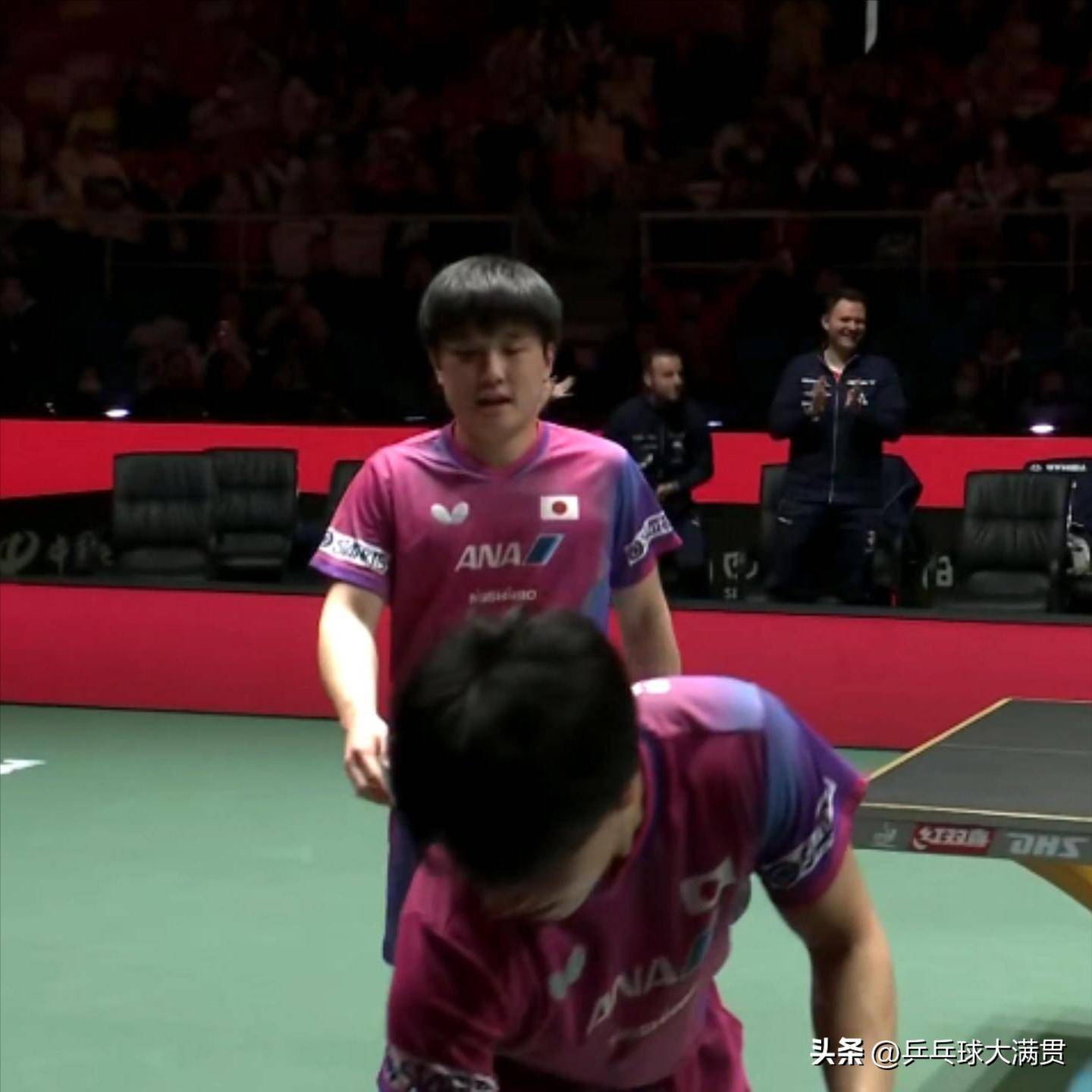 包含法国队完胜英格兰队，张本智和高光表现的词条