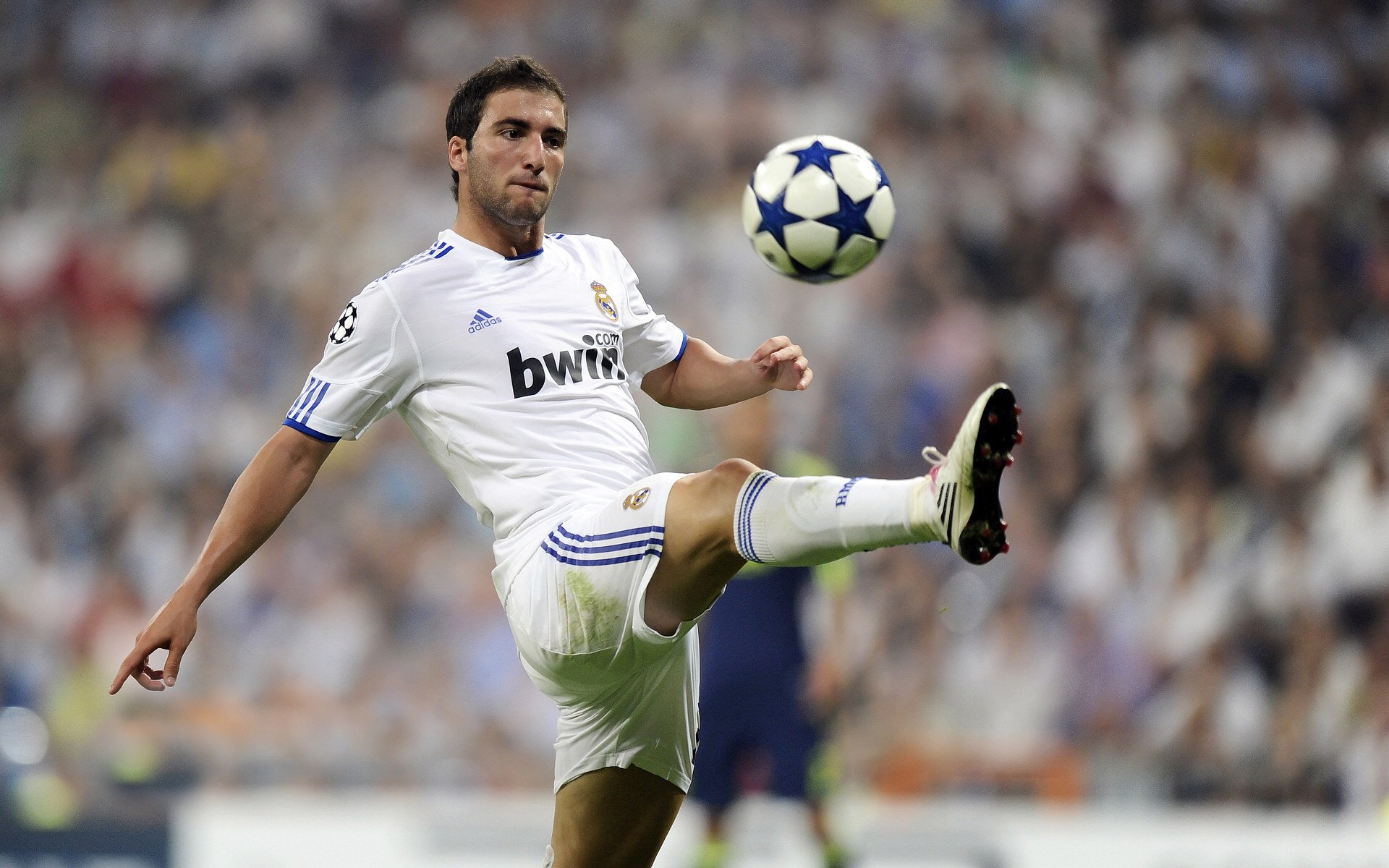 开云官网-银色闪电撕裂红牛王朝，新星皮亚斯特里如何改写F1历史